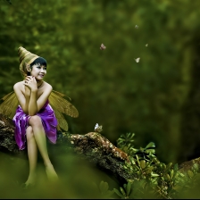 a fairy by je 